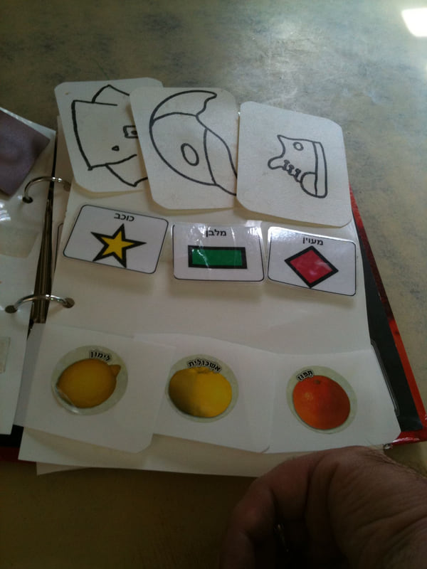 一块沟通板：活页夹上排列着若干张图片卡，上排是线描的物品图，下排是颜色鲜明的实物照片卡，供不能用口语表达的使用者指认