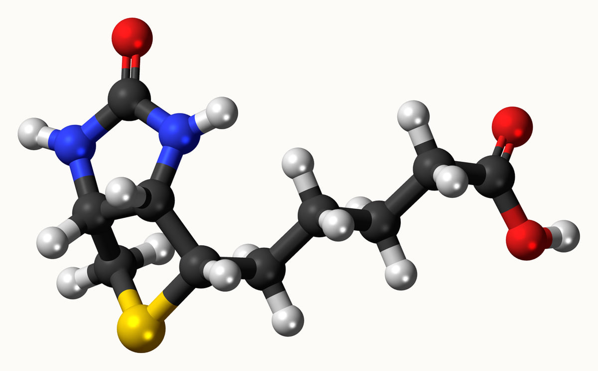 生物素分子的球棍模型:黑色为碳、白色为氢、红色为氧、蓝色为氮、黄色为硫