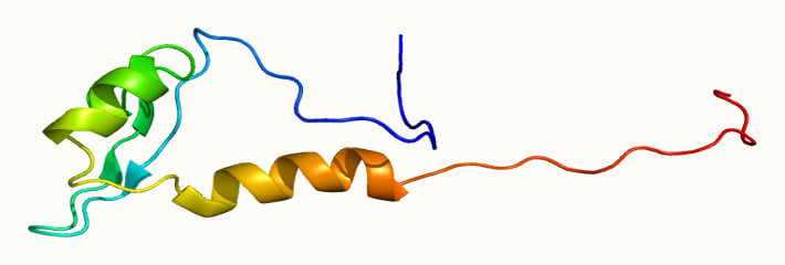 CHD8 蛋白第一个 BRK 结构域的溶液结构(PDB 2DL6)