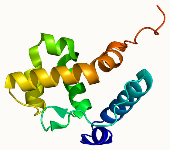 ARID1B 蛋白 AT 富集相互作用结构域(ARID)的晶体结构(PDB 2CXY)