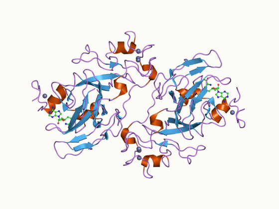 人 EHMT1 蛋白的晶体结构(PDB 2IGQ)