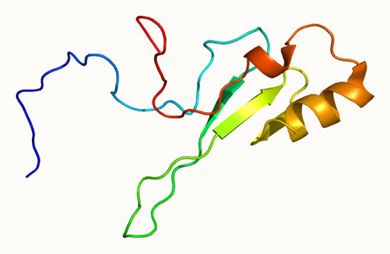 MeCP2 蛋白中与甲基化 DNA 结合的结构域(PDB 1QK9)